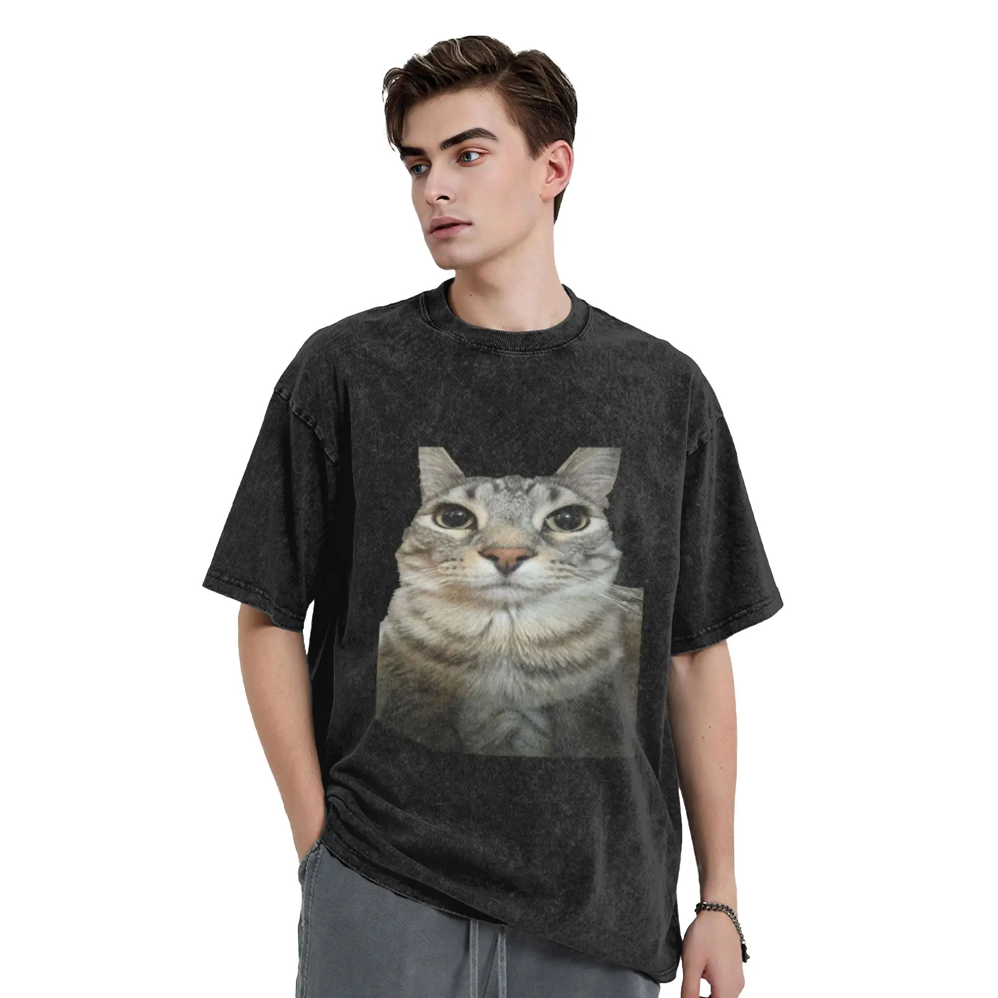 cat looking directly at you png Classic Trendy A T-Shirt Oversized Short Sleeve Cotton Tees Tops