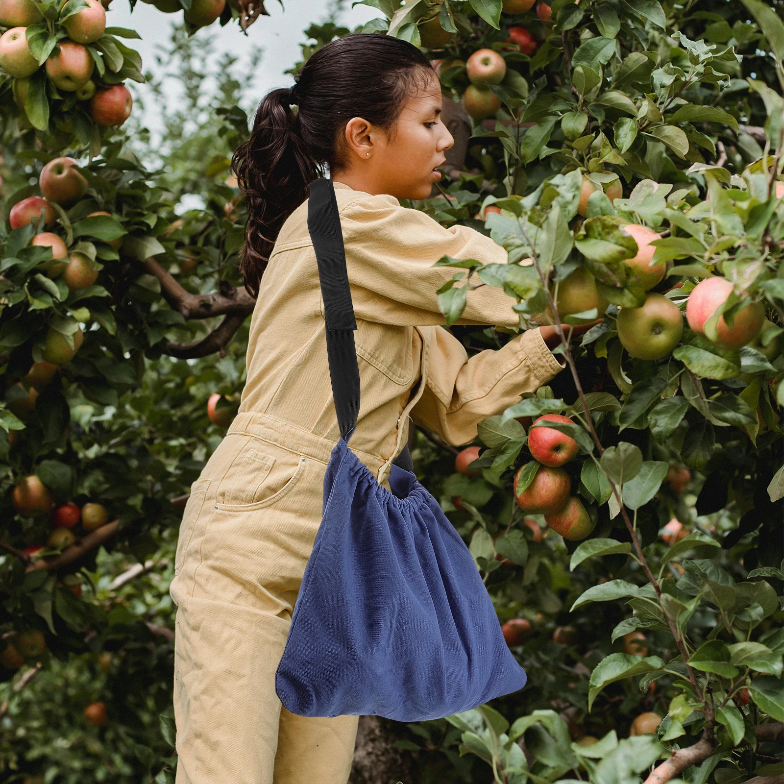 Picking Bag Gardening Apron Fruit Harvest Aprons Farm and Vegetable Canvas Fruits Multipurpose