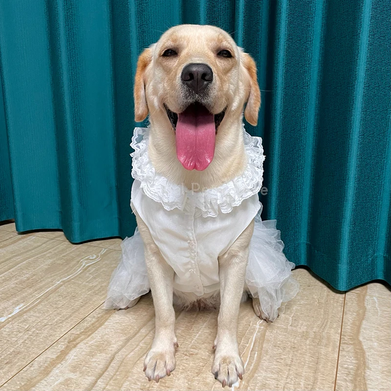 Big Dog Dresses Wedding Dress for Large Dog Summer Chiffon White Pet Dress Labrador Golden Retriever Pet Clothes Husky Clothing