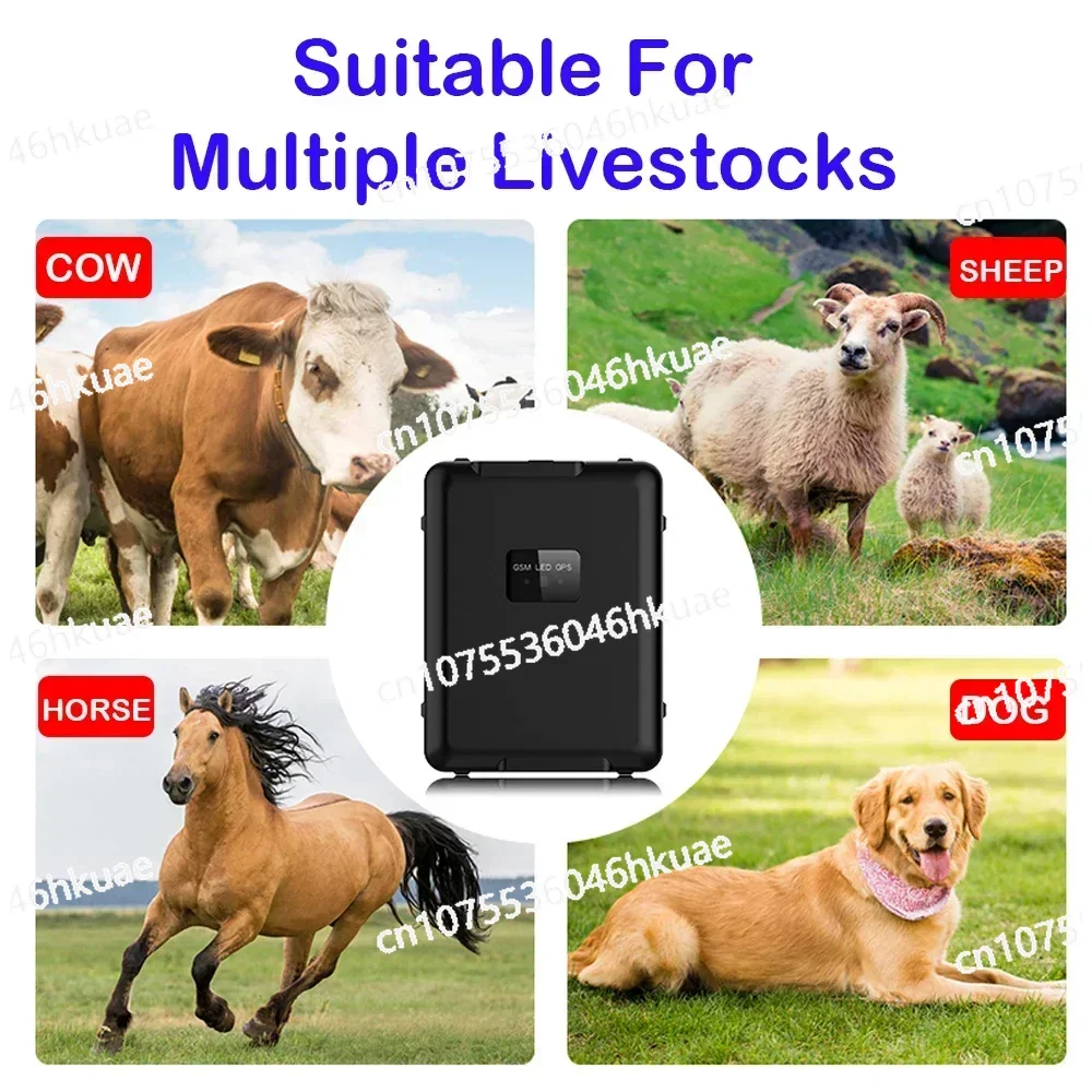 

Огромный аккумулятор SOS-сигнализация, бесплатное приложение, 4G GPS-трекер, овца, корова, крупный рогатый скот, лошадь, GPS, Wi-Fi, устройство слежения, водонепроницаемость, 20000 мАч