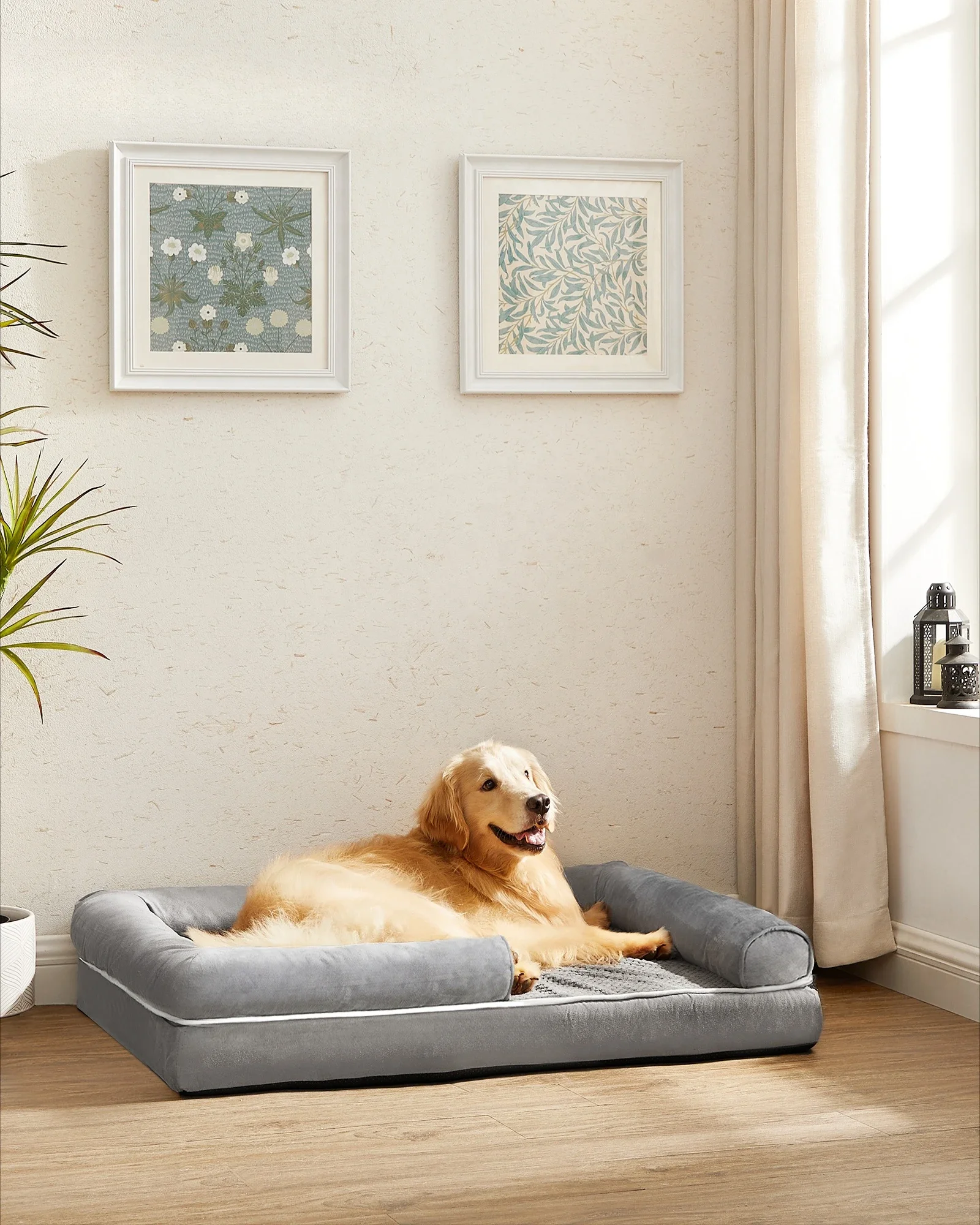 

'Luxury Large Memory Foam Pet Beds Orthopedic Dog Bed Dog Sofa with Sides and Removable Washable Cover