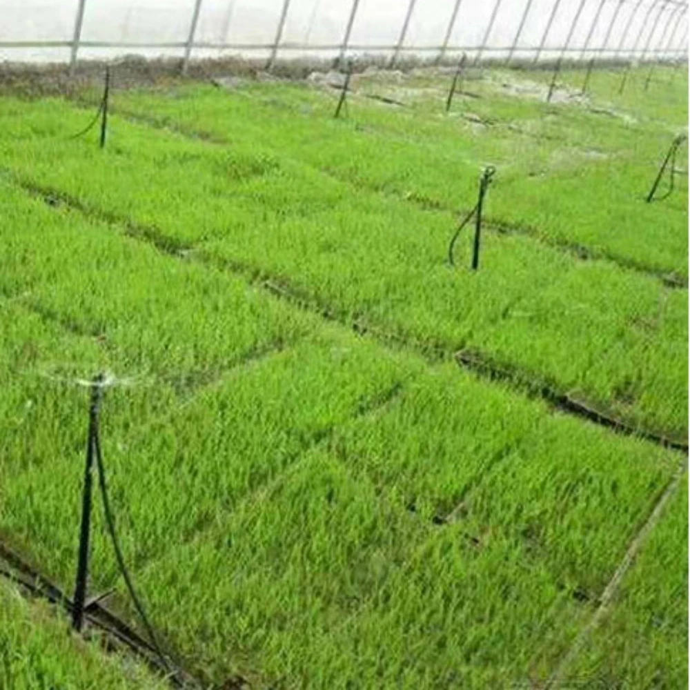Ground-Mounted Micro-Sprinkler Irrigation System 35L/H 55L/H 100L/H  Water-Saving Spraying Garden Farmland Orchard Sprinkler Set