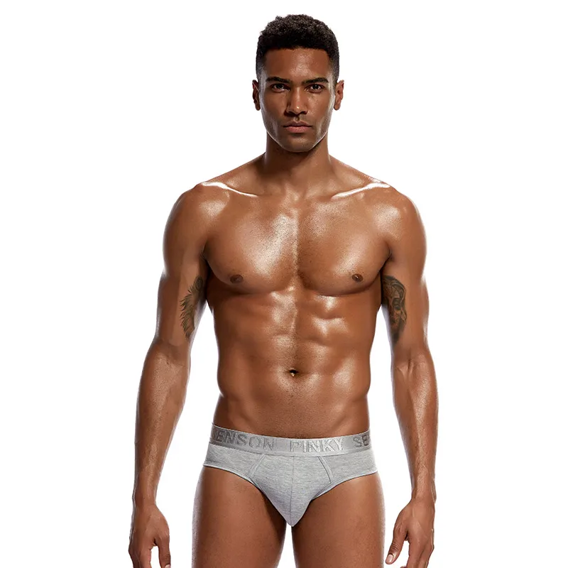 4 PCS Men Fashion Sexy Gay Classic Men's Briefs New Male Sleepwear Panties Low Waist Underpants Modal Underwears Briefs image 5