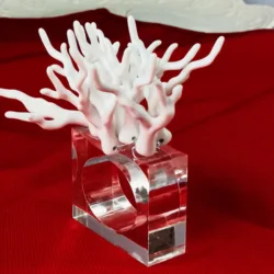 Free Shipping Colorful Coral Acrylic Napkin Ring New Design Napkin Holder 4 Pcs