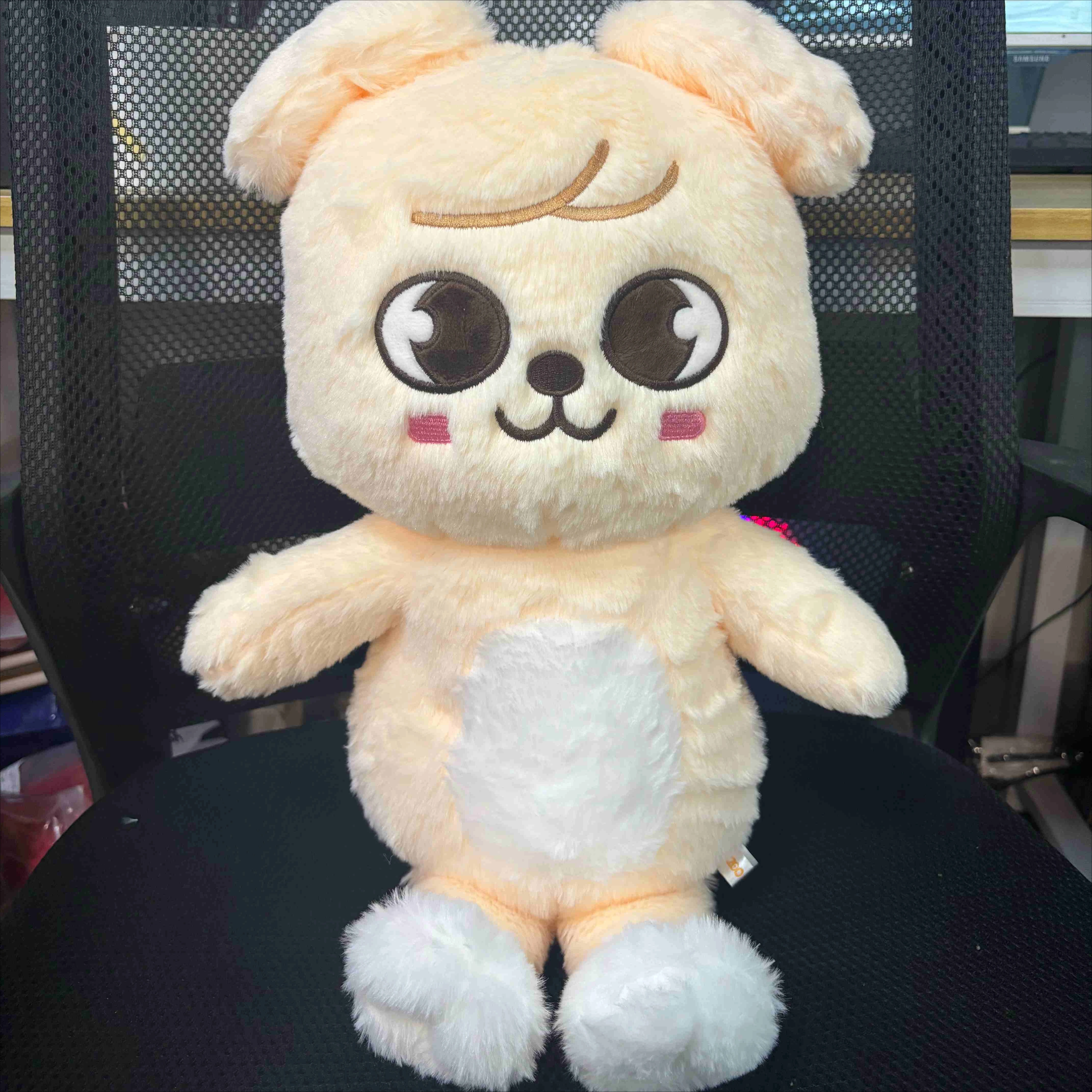 

Skzoo Плюшевая игрушка Тедди Skzoo Кукла Kawaii Плюшевая мультяшная мягкая кукла Kawaii Игрушки Декор комнаты Детские фанаты Подарок