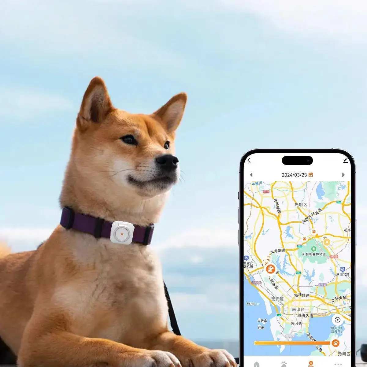 

Pet Tracker, a Health Monitoring, Tracking and Positioning Wonder Device, Anti-wandering Gps Collar Order with One Click