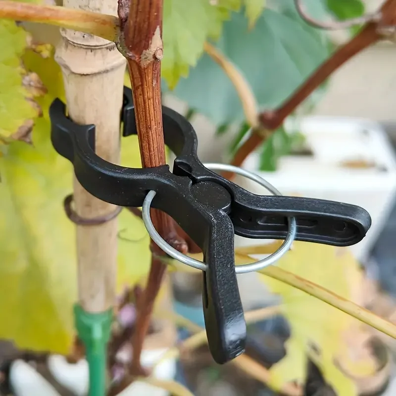 

10pcs Plant Growth Fixation Clip Garden Black Fish Plastic Clip Anti Slip Plant Growth Assist Clip Gardening Accessories