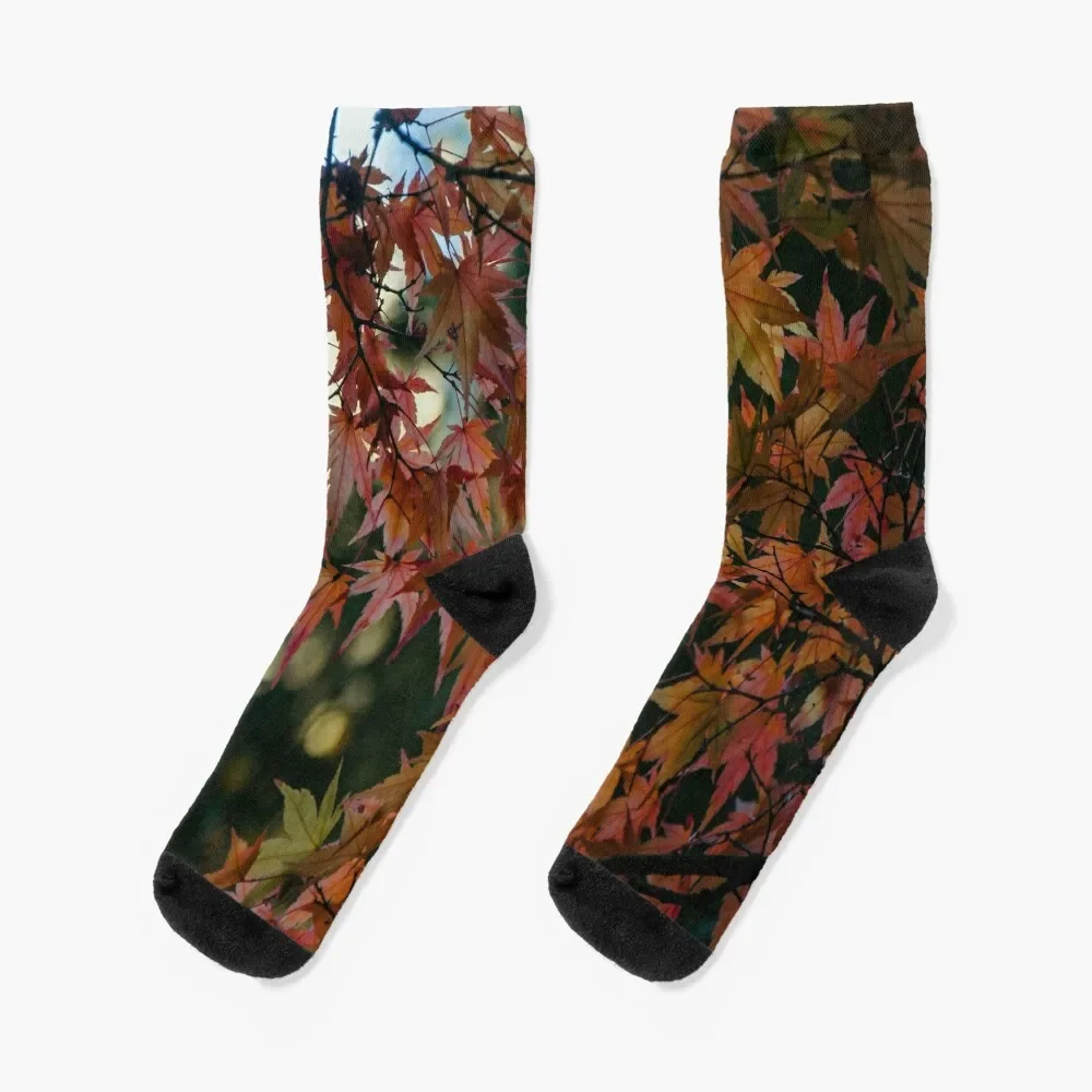 Japanese Maple Leaves Socks para homens e mulheres, essencial, outono, corrida, basquete