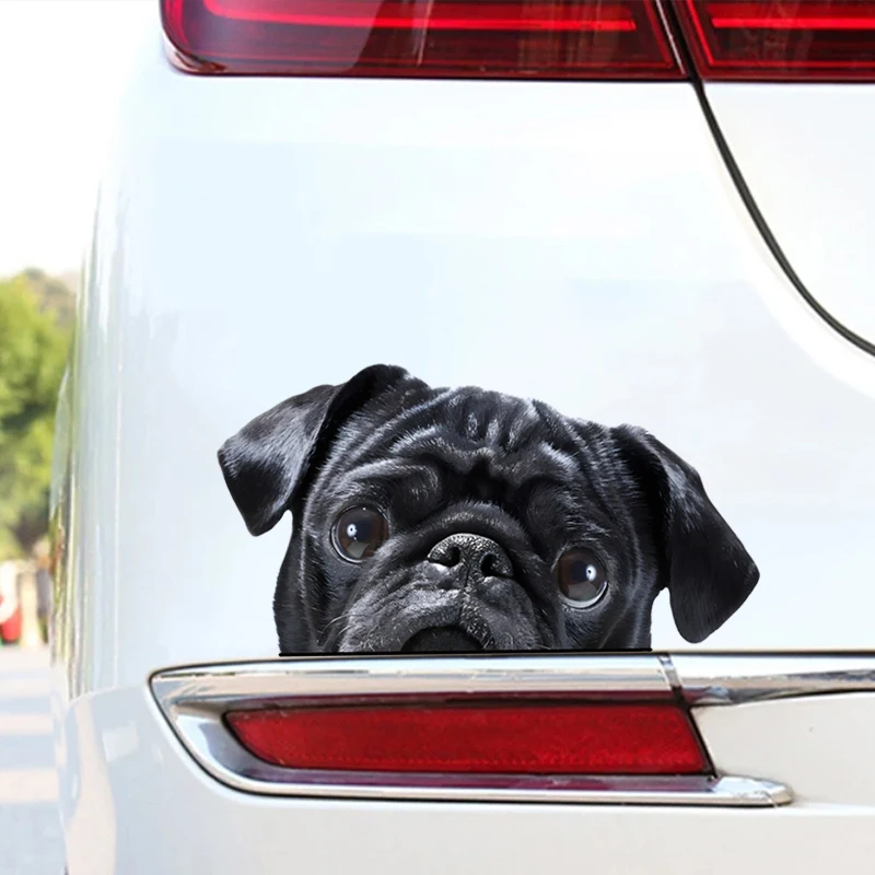 DK179#17x9cm Peeking Black Pug Car Decal Creative Waterproof Car Stickers Vinyl Decal Motorcycle Decorative Accessories