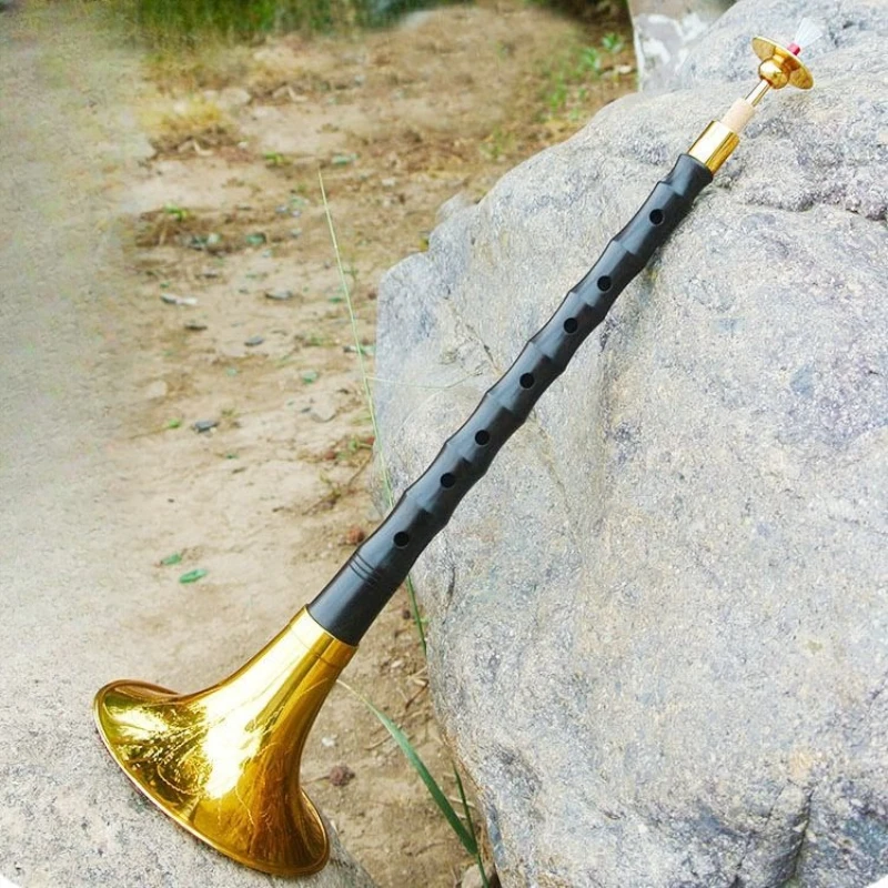 Chinese Suona Adult Beginners  - Bagpipe Practice Chanter 评论和价格