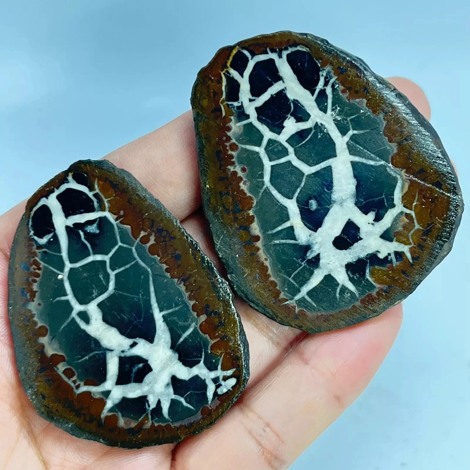 Natural Crystal Moroccan Turtle Back Stone Cutting Quartz Energy Spirit