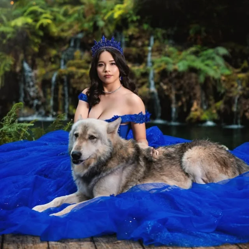 ชุดเดรสงาน Quinceanera สีน้ำเงินรอยัลเงางาม ประดับกลิตเตอร์ ดอกไม้ 3 มิติ คริสตัล ตกแต่งด้วยลูกปัด หางยาว Vestidos De 15 Quinceanera ﻿ ปรับแต่ง