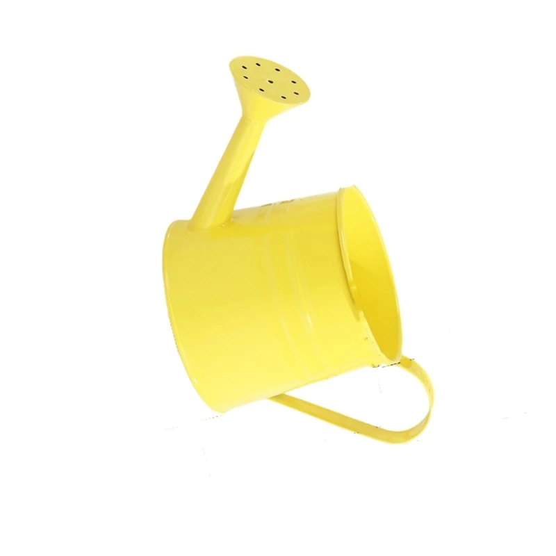 

2025 New Metal Watering Can with Comfortable Handle Small Garden Watering Can Long Spout for Indoor Outdoor Wedding Garden