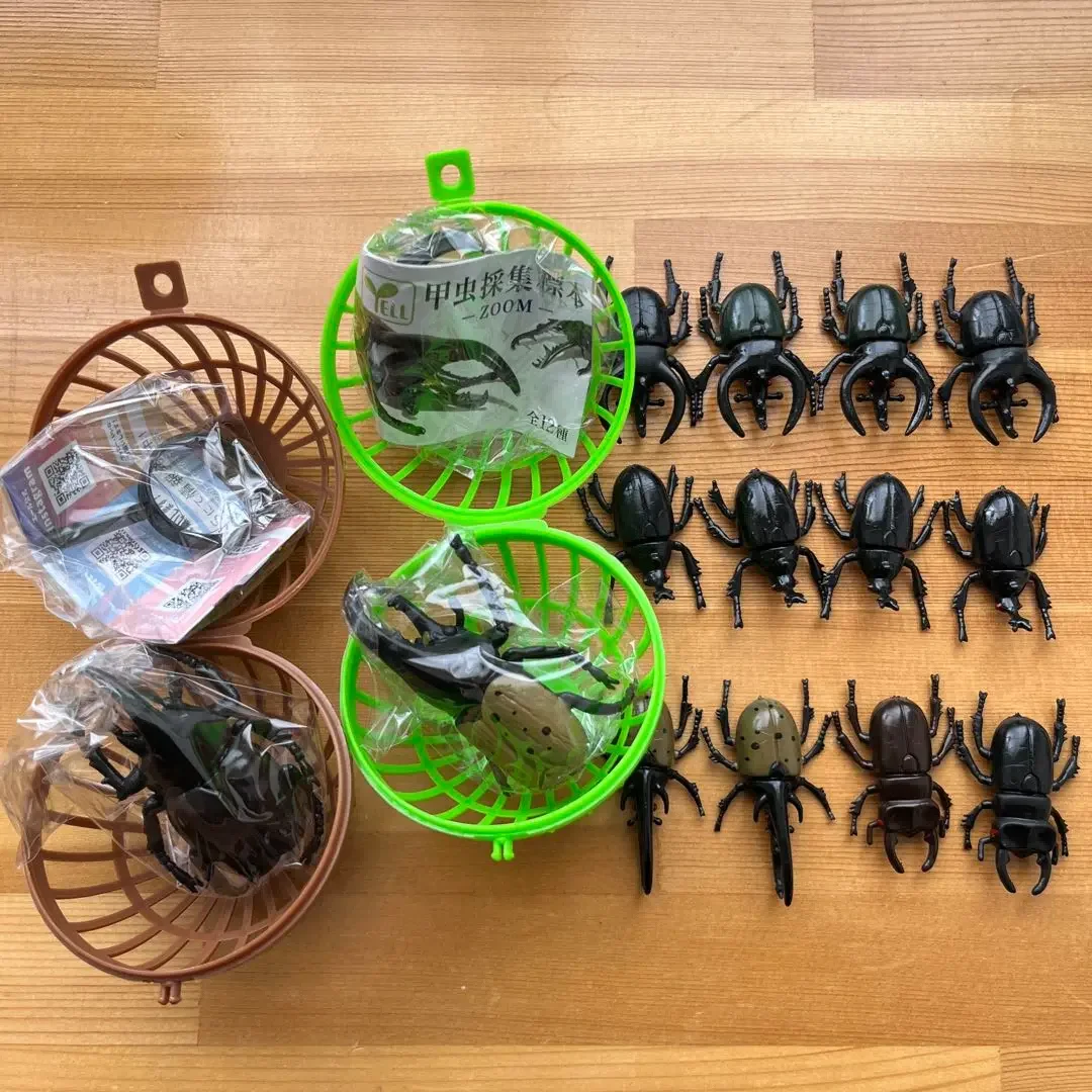 ألعاب كبسولة Yell مجموعة خنفساء نابضة بالحياة عينة زووم مع مكبر 12 نوعًا على شكل صافي على شكل قذيفة الحشرات شخصيات مصغرة