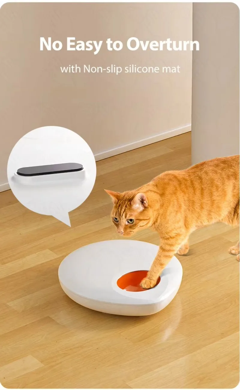 Wholesale Smart Pet Feeder Wet/Dry Food Application Control