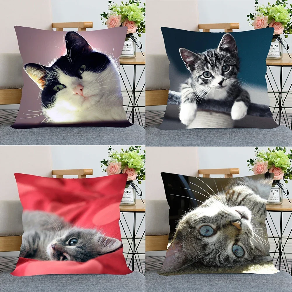 Cute Animal Bed Pillowcase for Car Sofa Home  Pet Cat Printed   Cushion Cover