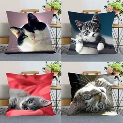 Juste de coussin imprimée pour animaux de compagnie, taie d'oreiller mignonne, lit, voiture, canapé, maison, chat