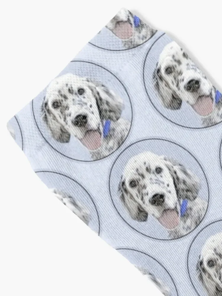 English Setter (Blue Belton) Socks Stockings compression funny gift sports stockings Men Socks Women's