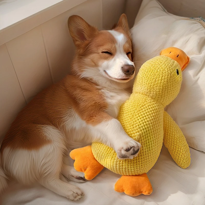 Nowe zabawki dla psów, uspokajające kaczki dla psów, śpiące kaczki, zabawki do żucia, wytrzymałe zabawki piszczące do czyszczenia zębów zwierząt.
