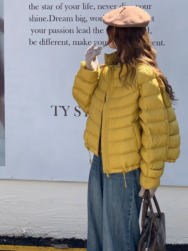 

Утепленная свободная хлопковая куртка в корейском стиле на молнии для женщин, новая зимняя повседневная теплая верхняя одежда, модное пальто с воротником-стойкой