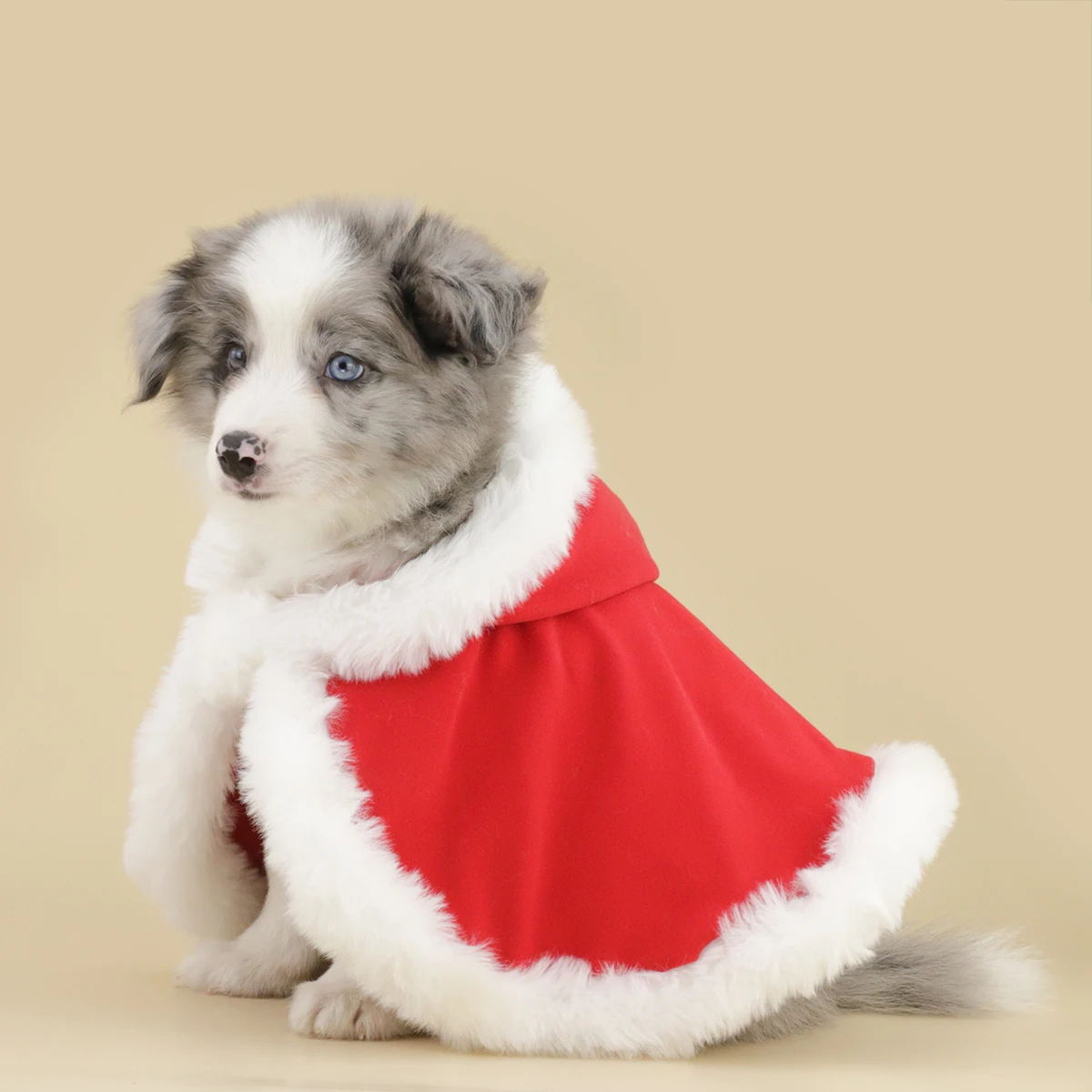 Our Red Pet Cape, Universally Designed for Cats and Dogs, . Meticulously Crafted for Comfort, Elevating Festive Fashion.