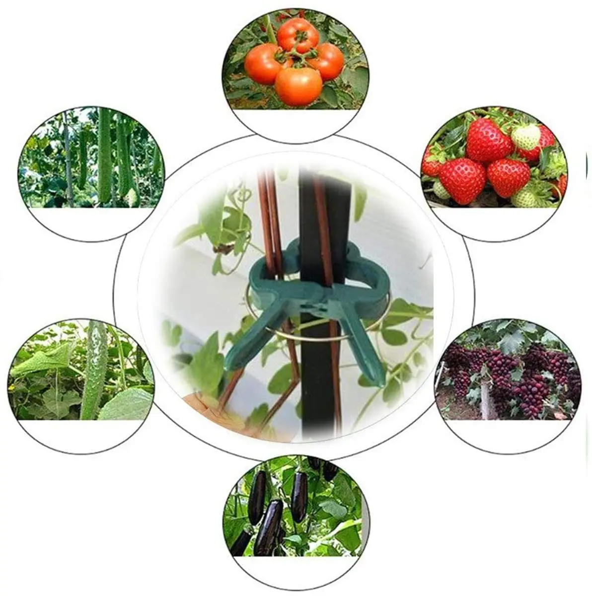 

50/100pcs Plant Support Clips Garden Plant Support Clips Vegetable Flowers Stem Vines Grow Upright Climbing Straightening Tool