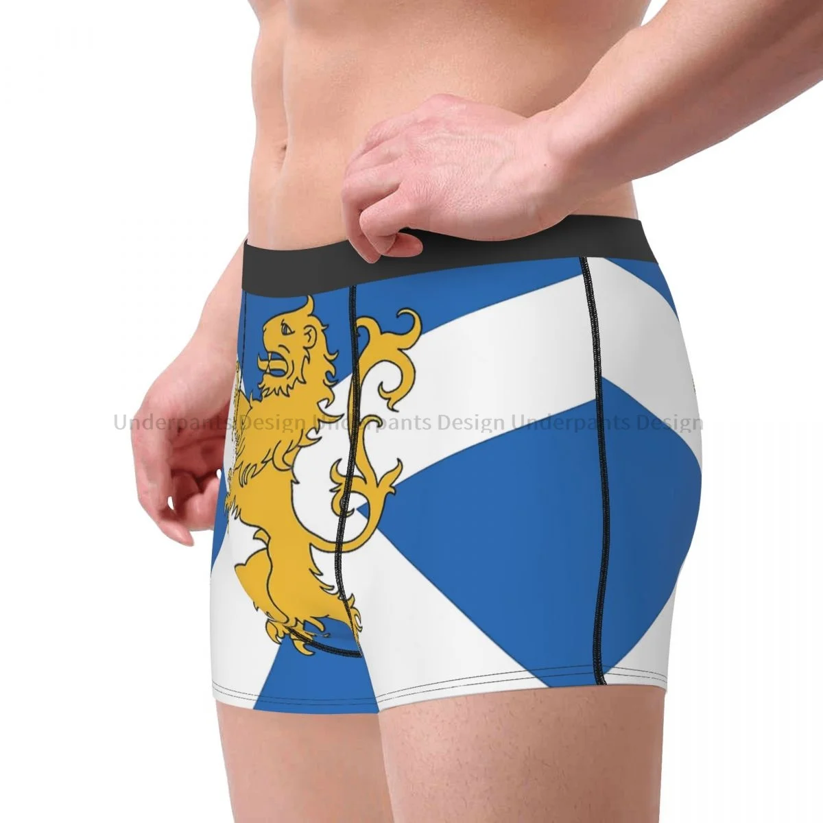 Scottish Lion National Flag Underpants Homme Panties Male Underwear Comfortable Shorts Boxer Briefs