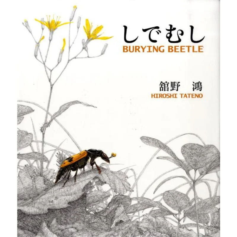 

Shide Mushi Koichi Kanno Xie Cheng Society 9784034370506 Book