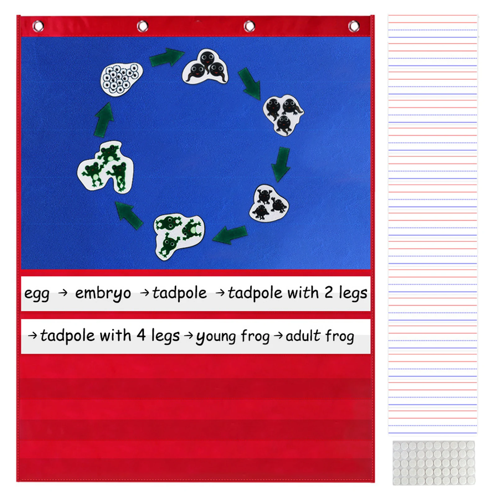 Standard Pocket Chart Standard Size Pocket Chart With 5 Pocket And 15 Dry Erase Cards Felt Board Pocket Chart For Teacher