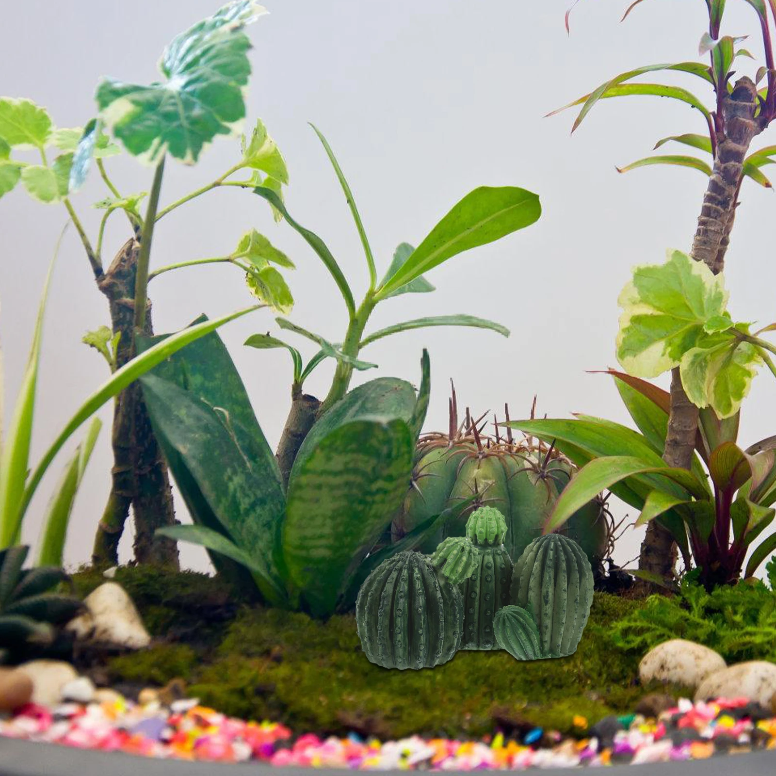 

3 Pcs Micro Landscape Cactus DIY Plants Artificial Indoor Faux Fake Decorate Craft Figurines