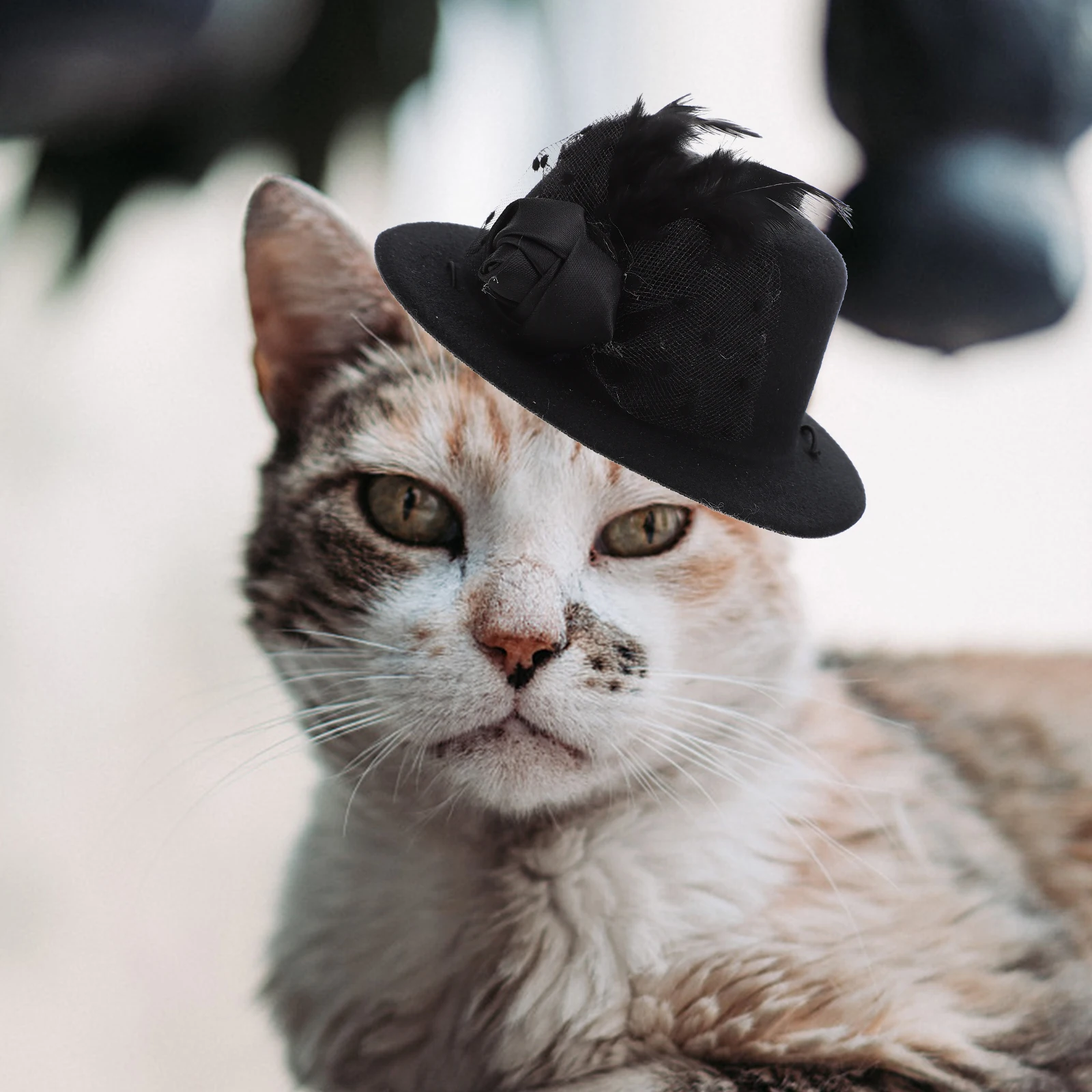 

Pet Bowler Hat High-Grade Denim Wear-Resistant Puppy Hat Adjustable Rope Decorative Pet Accessory for Parties Festivals Photo