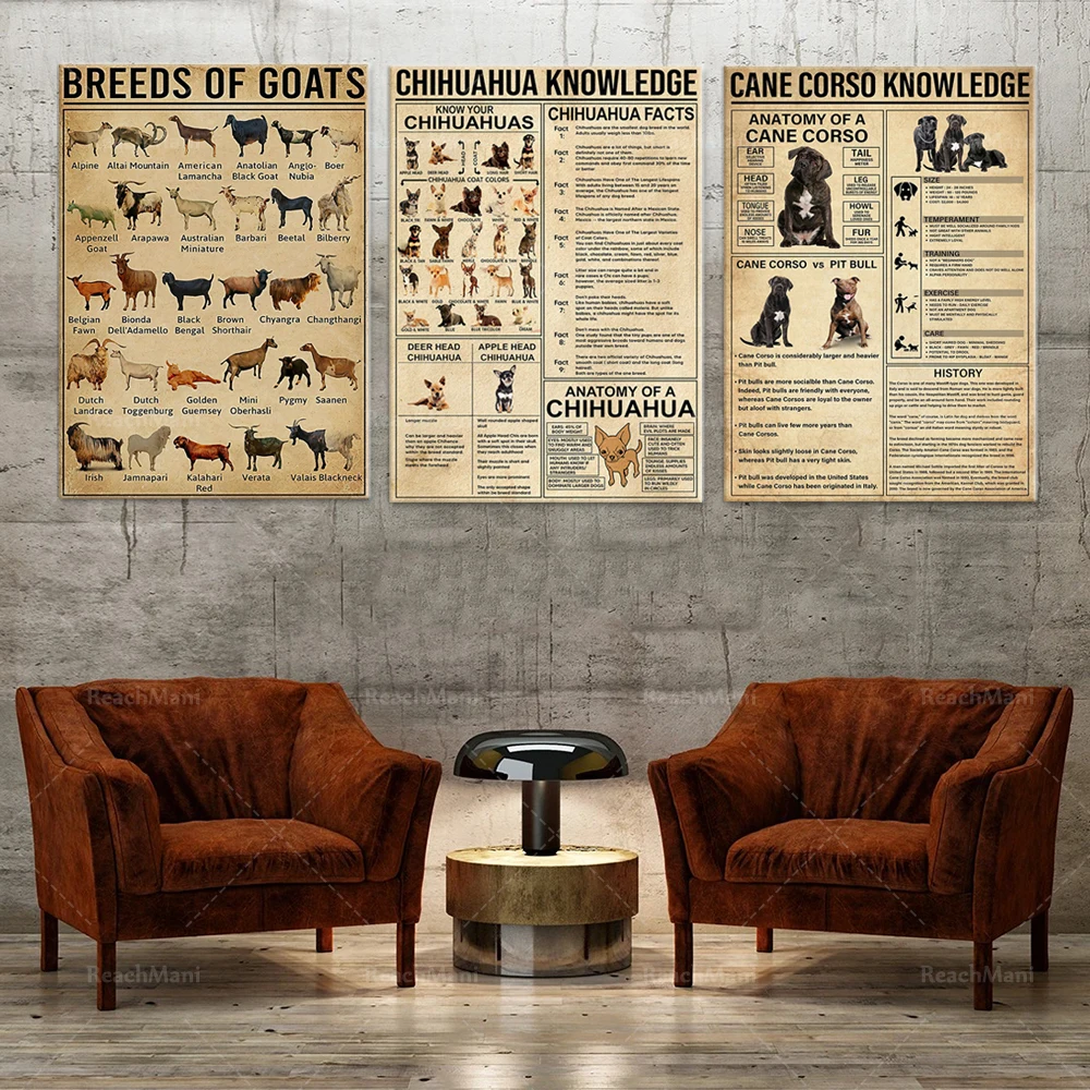 Cane Corso Know Ledge, Chihuahua Knowledge-, Goat Breed Animal Print, Wall Decor Canvas Poster