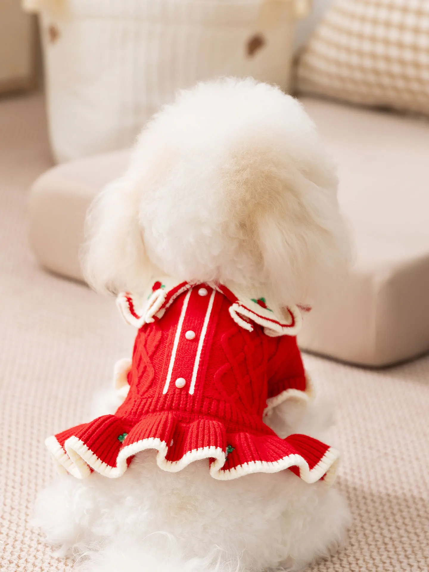 Nova Coleção Outono Inverno: Suéter Casual de Poliéster com Gola Virada e Bordado para Cães Pequenos (Teddy) - Modelo de Duas Patas