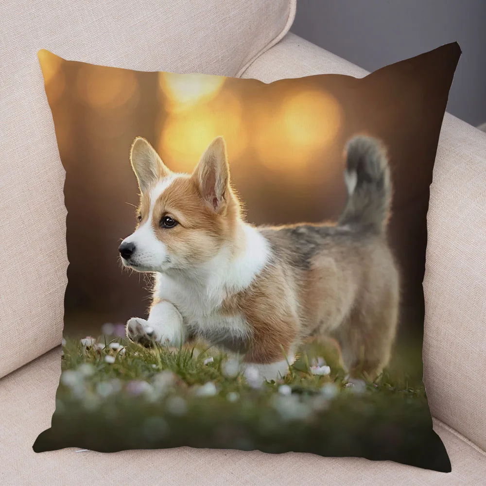 Cute Animal Welsh Corgi Pembroke Dog Pattern Pillowcase Decorative Print For Sofa Home Car