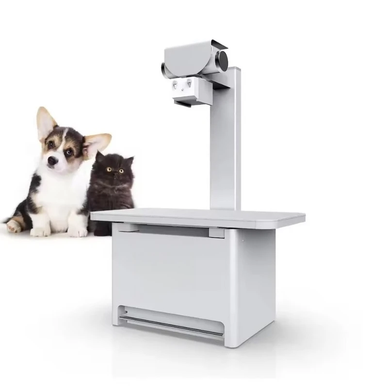 Veterinary X-Ray Machine Excellent Veterinary Instrument Digital X-Ray Machine for Pet Hospital Use and Commercial Equipment