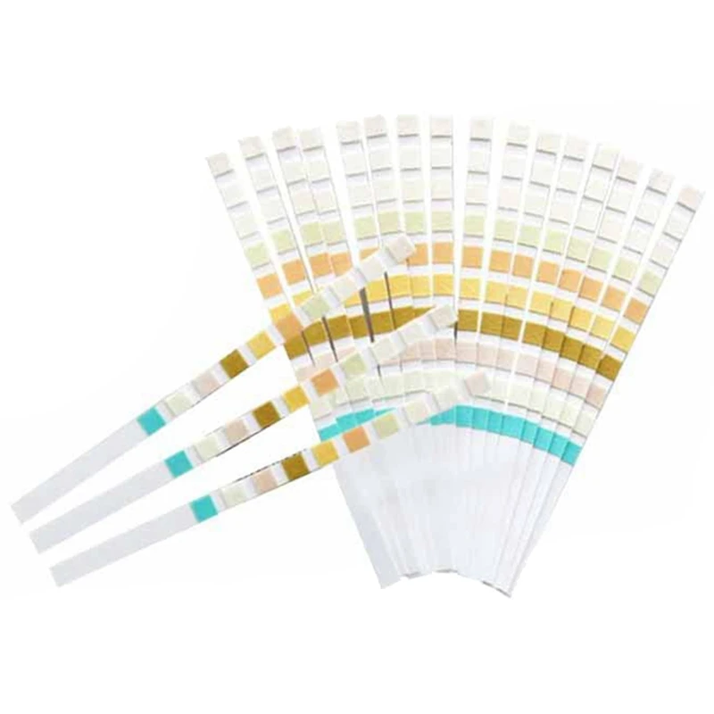 1000 Strips Urine Test Strip 10 Parameters