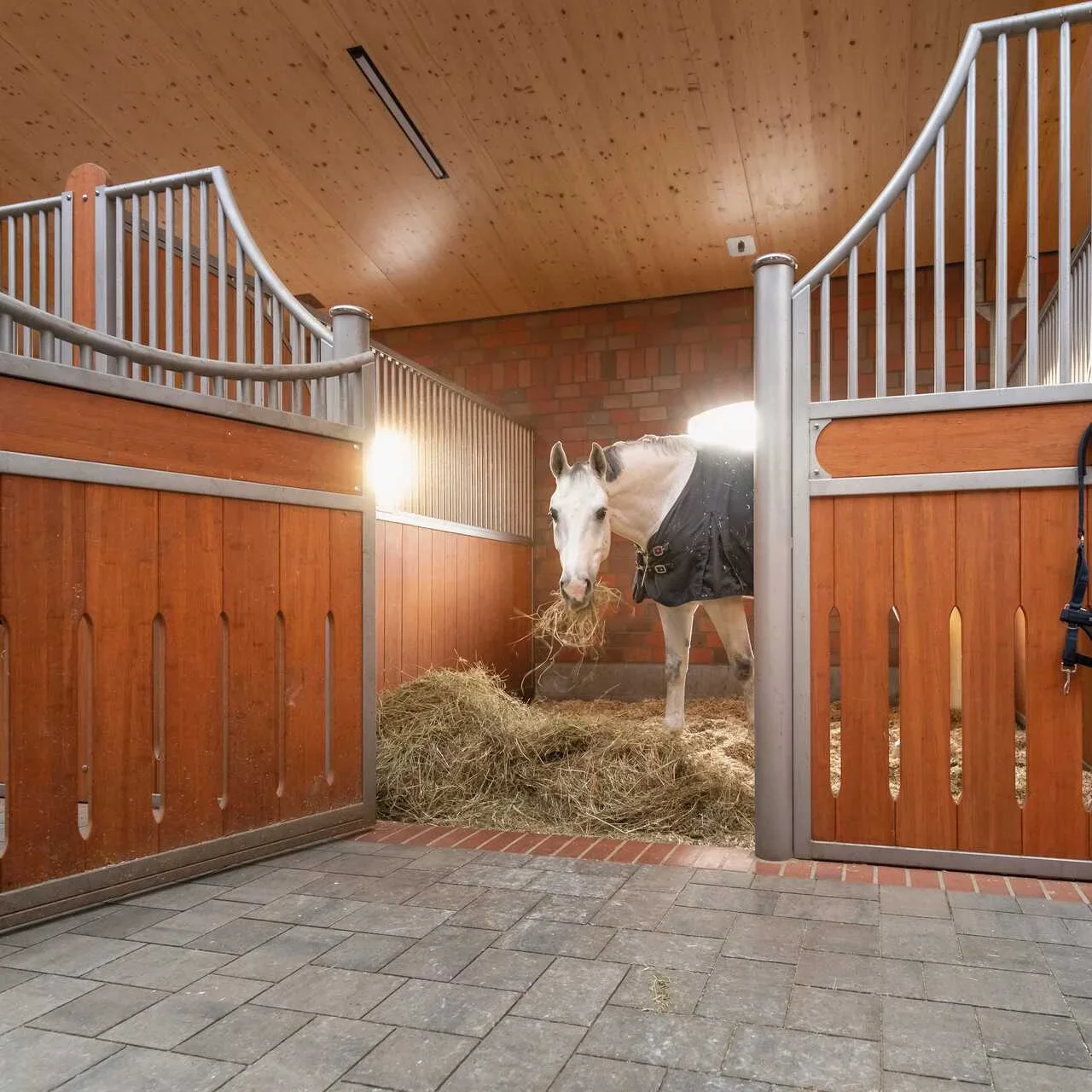 Portable Horse Stall Equipment Stable Front Flooring and Doors for Farms for Equine Care