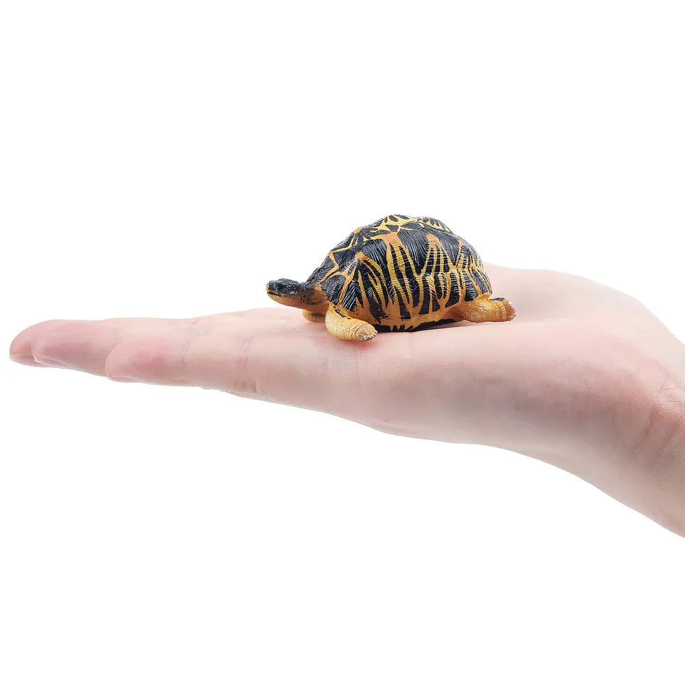 Toymany Simulation Radiated Tortoise Madagascar Animal Model Toy Mini Figures Dolls Action Figurines Toy Children Gife Cake Dec
