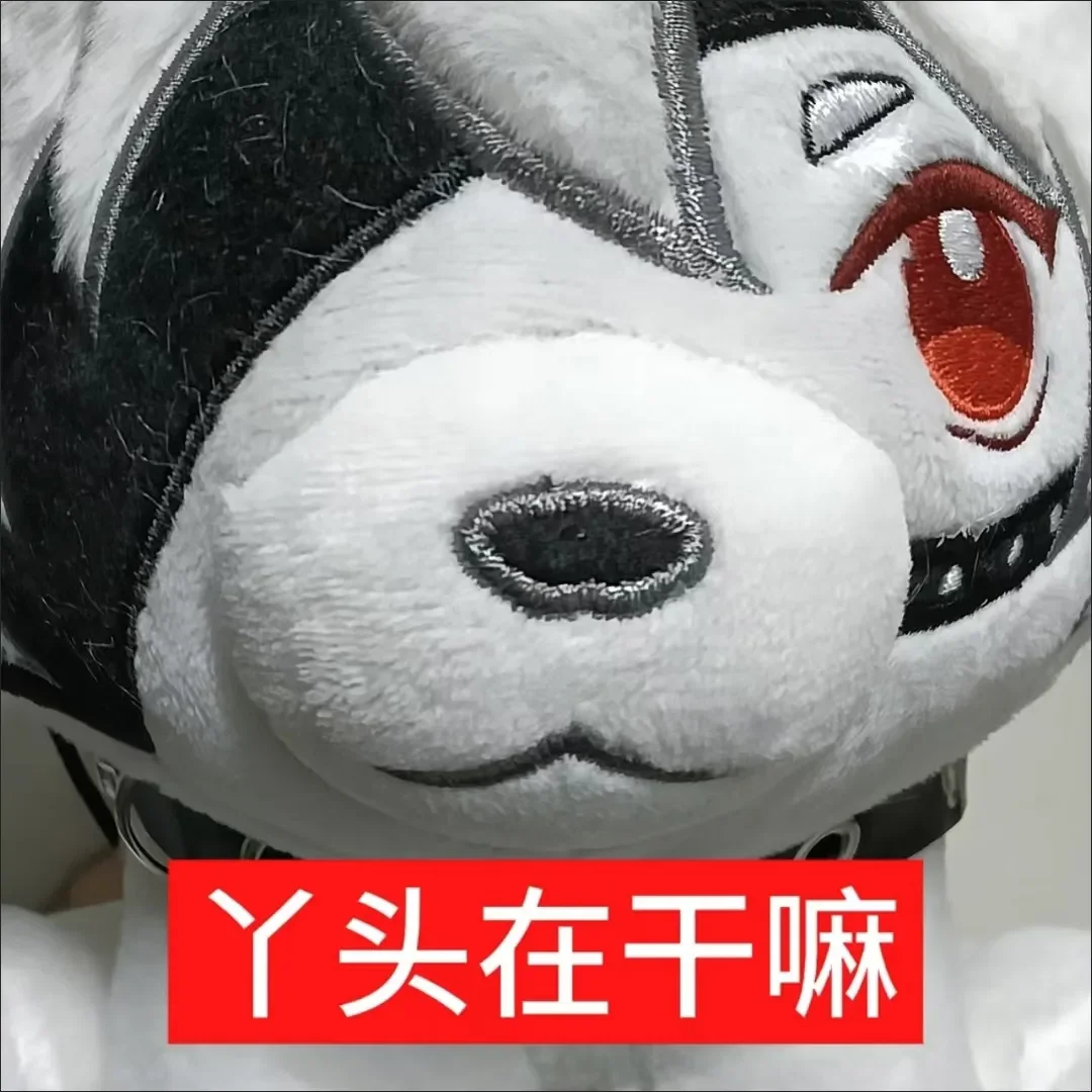Zenless Zone Zero Von Lycaon C - Cosplay Zone Anime Friends recension och pris