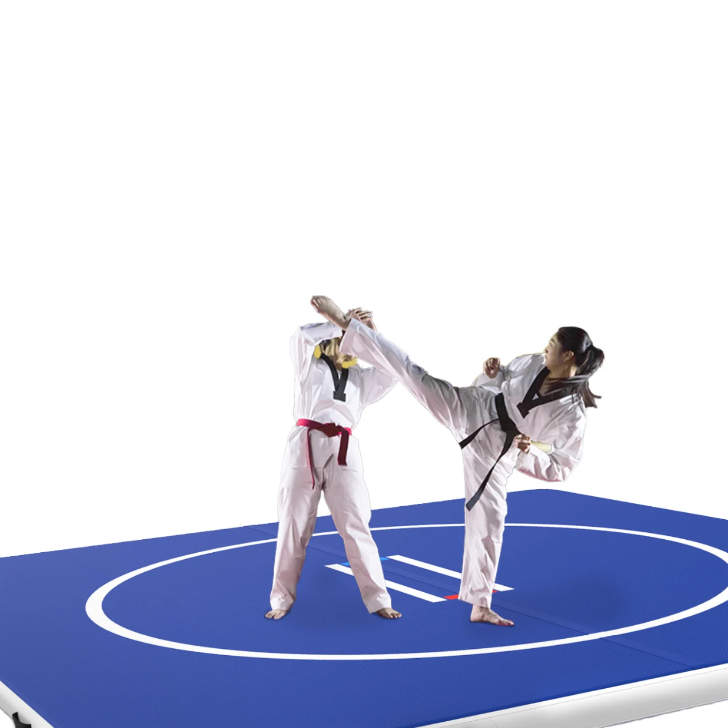 Multifunctional Inflatable Wrestling Mat, PVC Surface 10mm Thick 3m Customizable Grappling Pad for BJJ MMA Judo Training