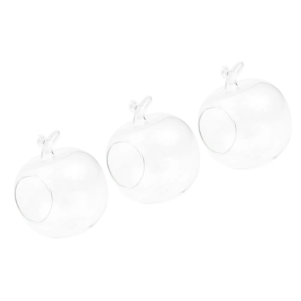 3Pcs Apple Shaped Clear Glass Hydroponic Vase Creative Transparent Planter for Desktop Micro Greenhouse Display