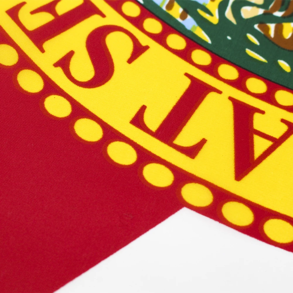 FLAGLINK 90x150 سم الولايات المتحدة الأمريكية علم فلوريدا للزينة #3