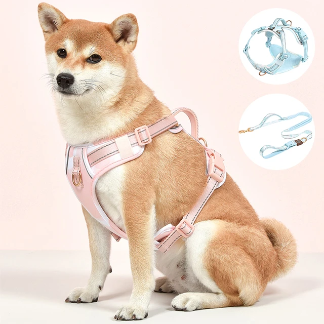 Pet choker deals