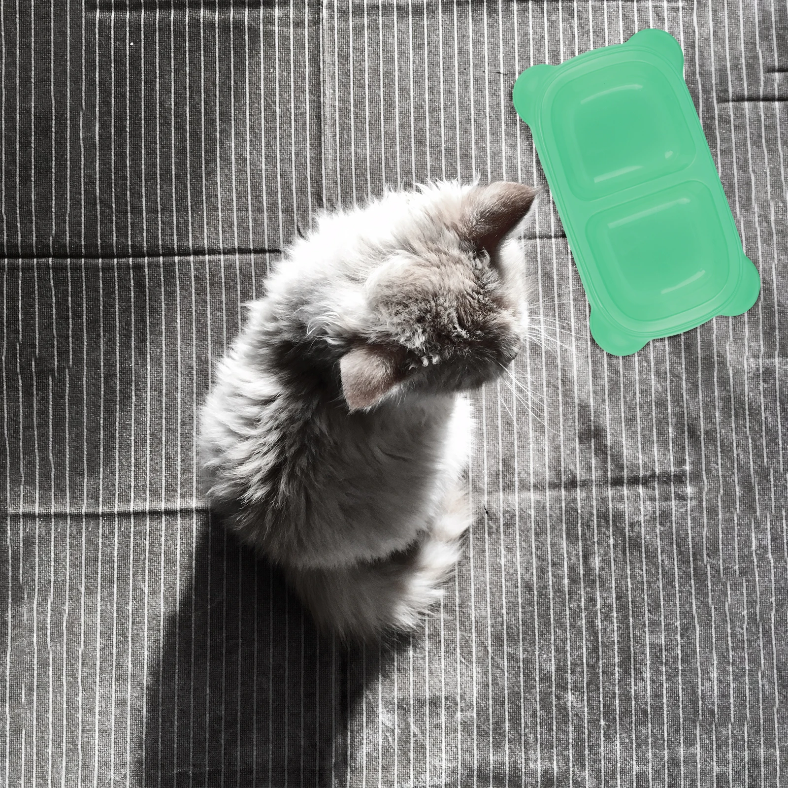 

Cat Dishes Double Anti-turn Feeding Bowl Pet Dog Feeder Non-slip Light Green Pp