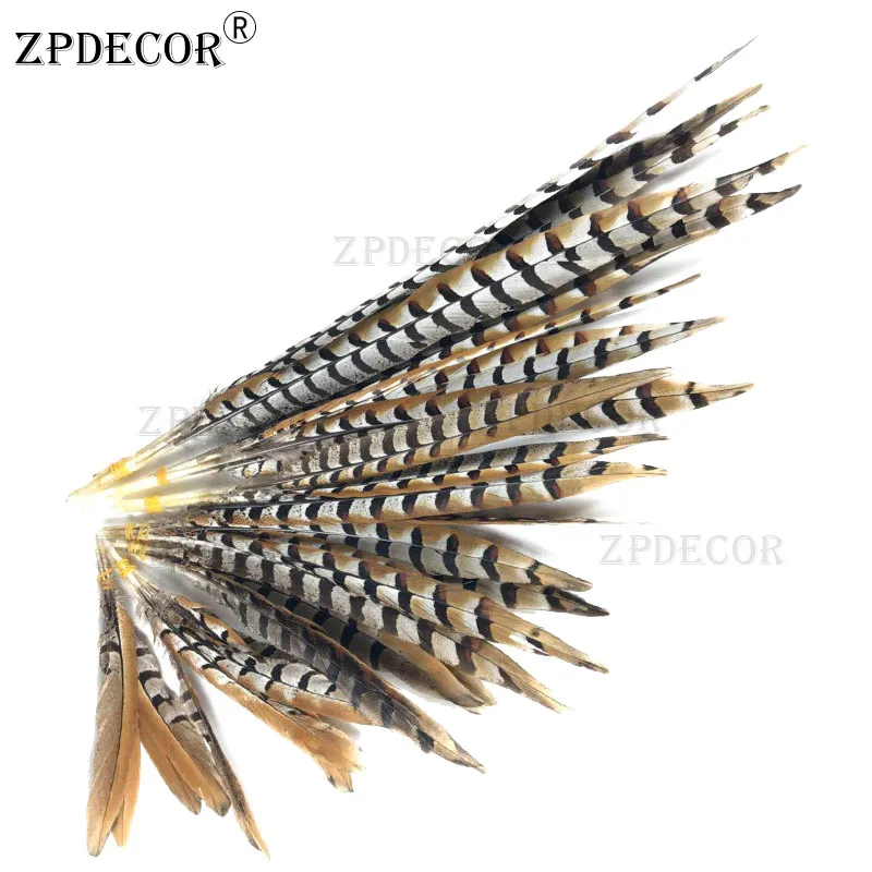 

Natural Reeves Pheasant Feathers 35-40cm Long 14-16 Inch Feathers for Crafts