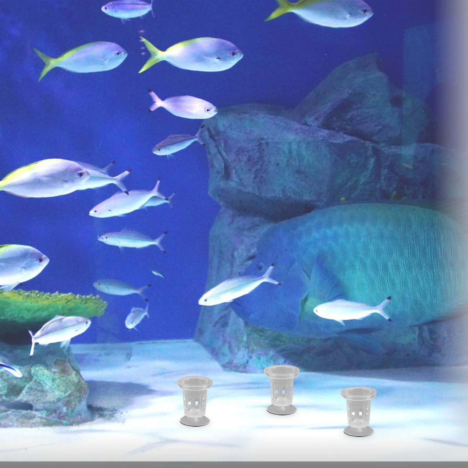 

8 Pcs Hydroponic Planting Cups for Growing Plants Vegetables Flowers Suitable Balcony Hydroponics