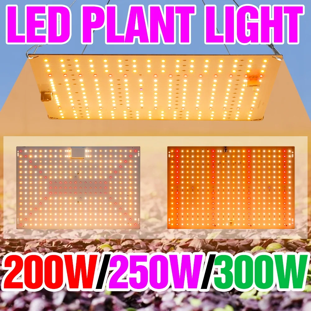 

300W LED Full Spectrum Grow Light 100-277V Indoor Quantum Board Plant Fill Lights Greenhouse Tent Vegs Seeds Hydroponic Lighting