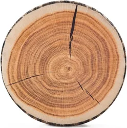 3D decorative round pillows, cosy wooden log design, perfect round cushion for home decoration, add fun to sofa, sofa bed