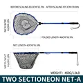 Two sectioneon-A