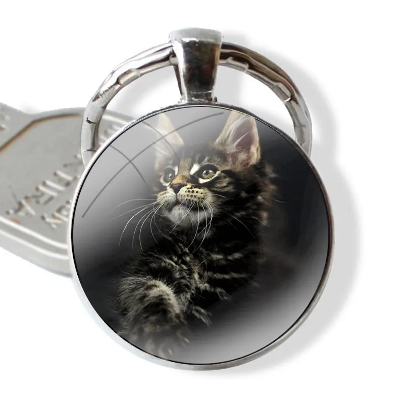 Glass Metal Pendant Key Chain Classic Men Women Key Ring Accessories Jewelry Gifts pet maine coon cat